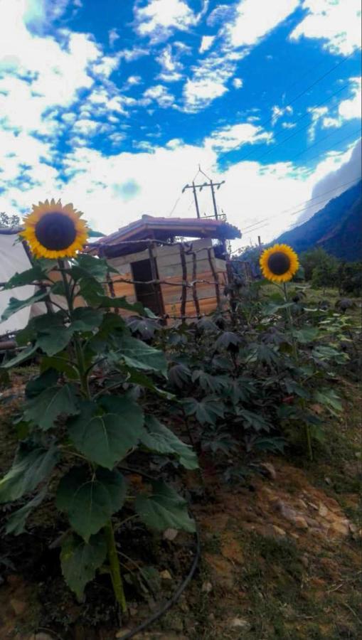 Hostal Las Valkirias Matanza Esterno foto