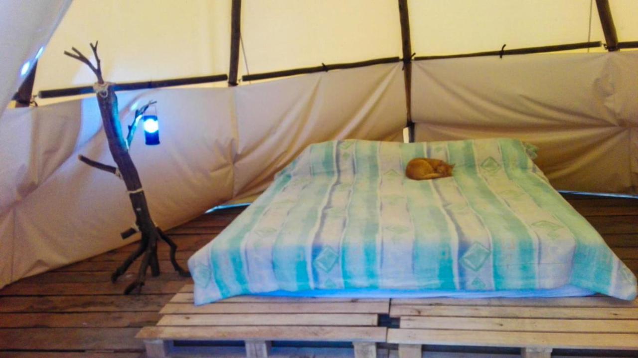 Hostal Las Valkirias Matanza Esterno foto